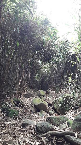 160982_0.jpg 160982_0.jpg