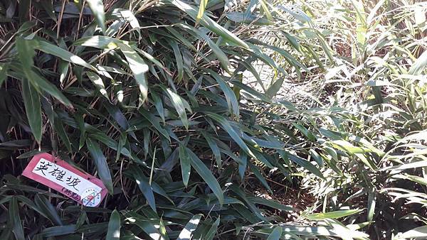 160984_0.jpg 160984_0.jpg