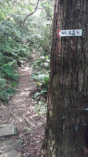 160996_0.jpg 160996_0.jpg