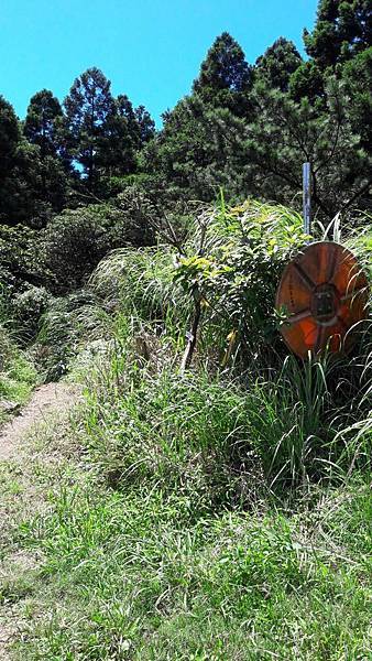 160989_0.jpg 160989_0.jpg