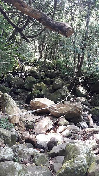 160997_0.jpg 160997_0.jpg