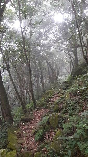 161003_0.jpg 161003_0.jpg