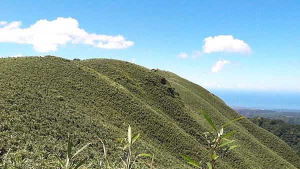 161040.jpg 161040.jpg