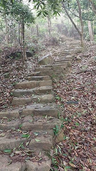 ​​​​前進大帽山~香港第一高峰的感動!!!~3日自由行搭公
