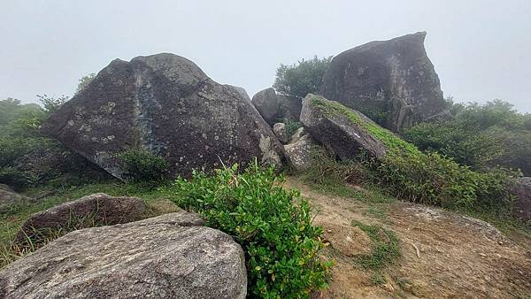 ​​​​前進大帽山~香港第一高峰的感動!!!~3日自由行搭公