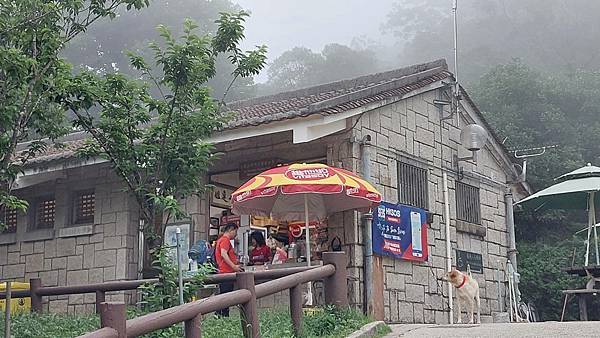 ​​​​前進大帽山~香港第一高峰的感動!!!~3日自由行搭公