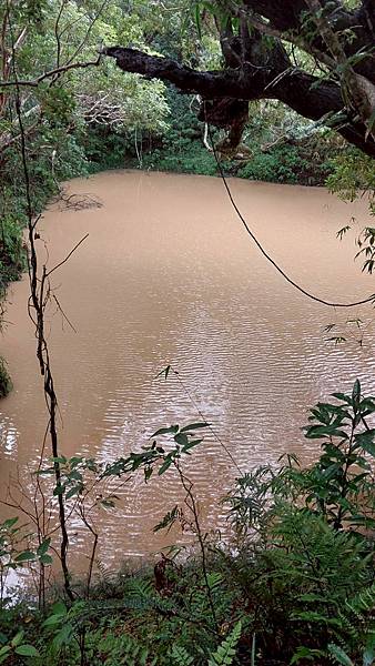 滿州風情~南仁湖申請起來! 滿州風情~南仁湖申請起來!