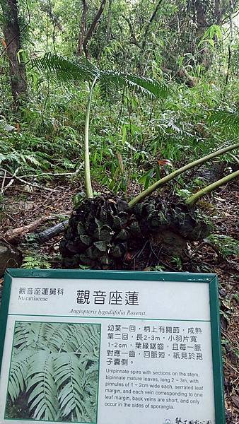 滿州風情~南仁湖申請起來! 滿州風情~南仁湖申請起來!