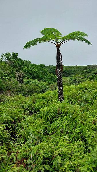 滿州風情~南仁湖申請起來! 滿州風情~南仁湖申請起來!