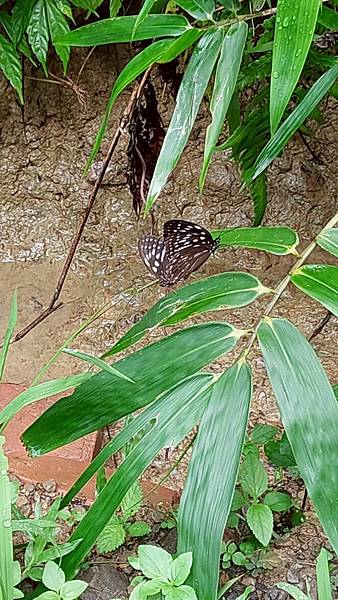 滿州風情~南仁湖申請起來! 滿州風情~南仁湖申請起來!