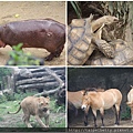 2011-05-19動物園3.jpg