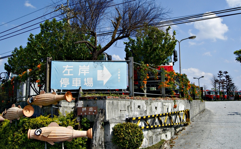 【賞花角落】炮杖花‧基隆河左岸停車場.JPG