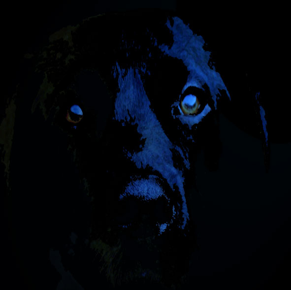 black_Dog_ghost