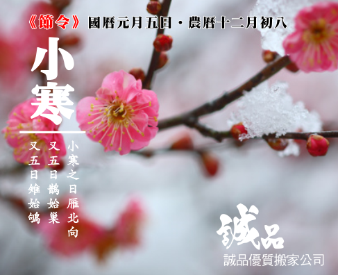 小寒487.png 小寒487.png