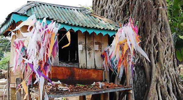 37-venerating-the-sacred-bo-tree1