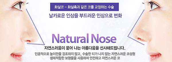 隆鼻手術種類眾多 消費者該如何區分 隆鼻手術日記心得照片分享 Ptt 推薦隆鼻權威醫師醫生整理 手術失敗後遺症風險該如何控管 價格費用價位價錢如何計算 最完整的隆鼻手術資訊