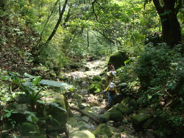 山�`林密