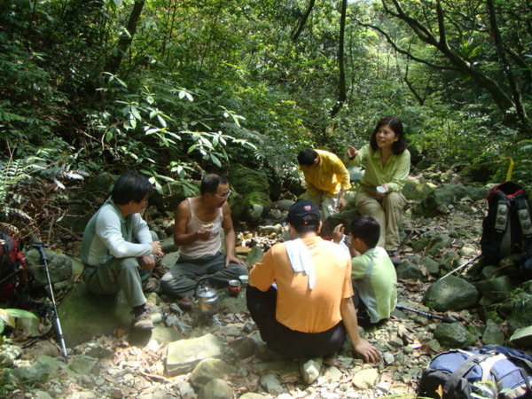 兩光泡茶