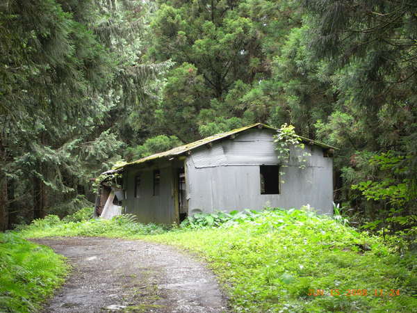 林道山屋