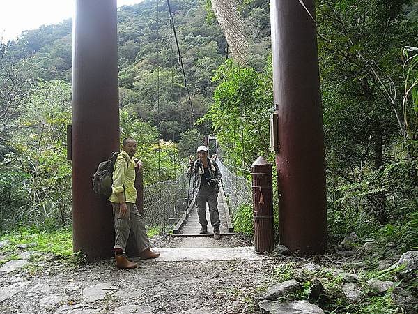 大象吊橋過橋