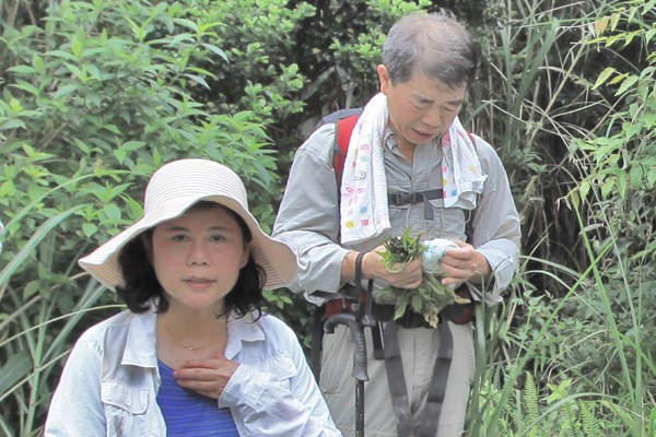 隊花駕到