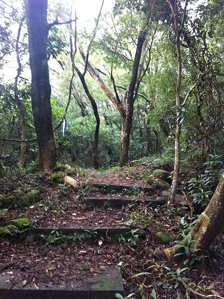 鹿寮坑山 