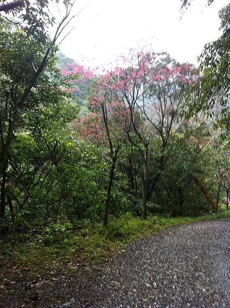 礁溪山聖母步道 