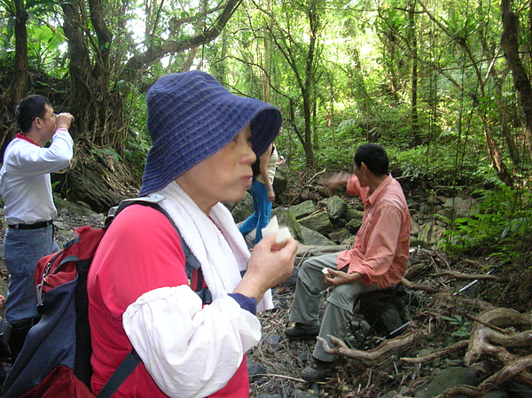 鳳姐睨甲岈媚