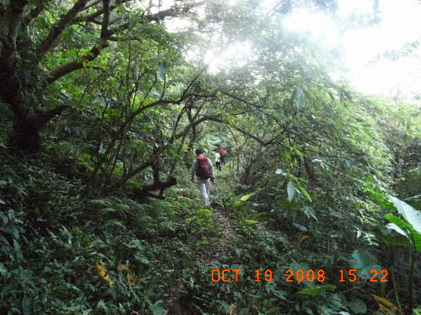 石梯坑古道