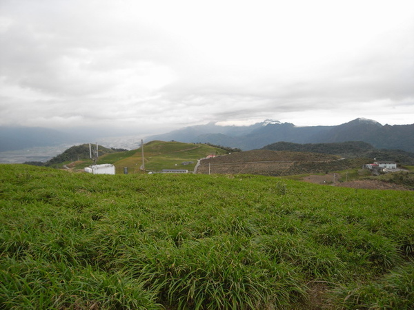 金針菇山