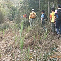 經過廢茶園