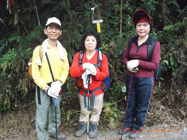 竹崙山途中