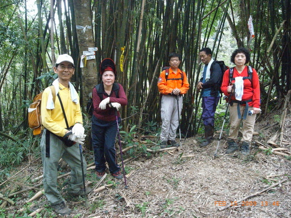 往麒麟山 三叉路