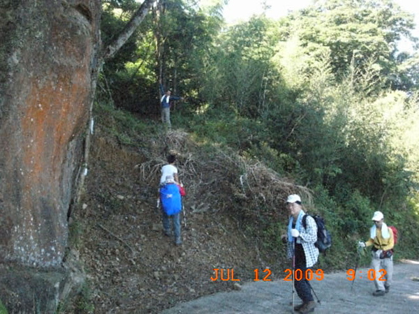 帥象過馬路