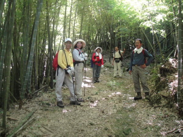 竹林小歇