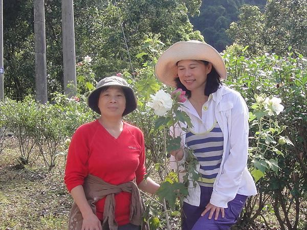 花香迷人