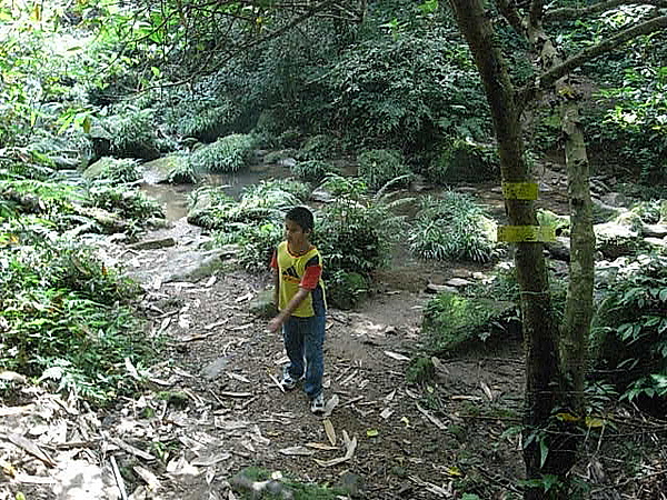 昊甯打鐵寮古道