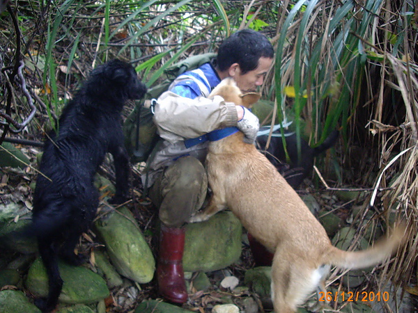 打獵去