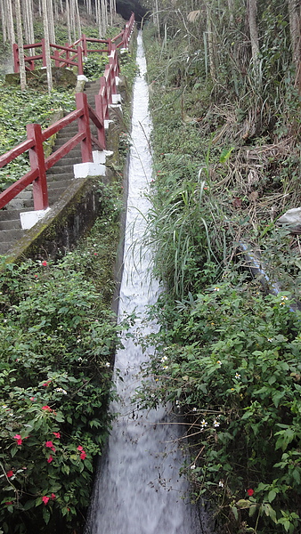 階梯與水道