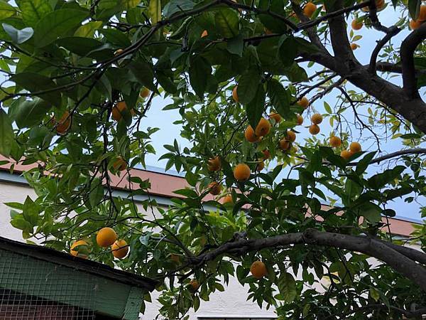 28468545_2095469624068061_4907839931390090832_n.jpg 28468545_2095469624068061_4907839931390090832_n.jpg