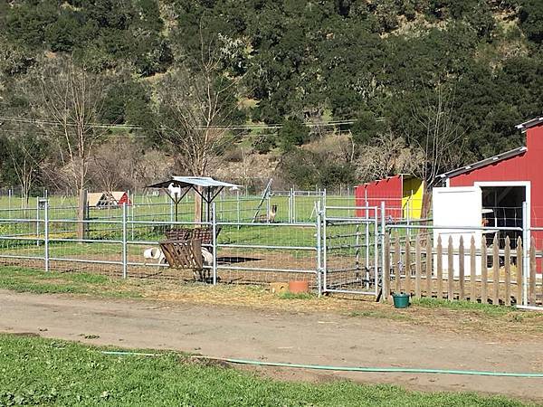 28167301_2091875507760806_9213448165593458317_n.jpg 28167301_2091875507760806_9213448165593458317_n.jpg