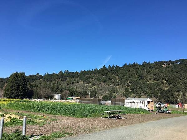 28058354_2091875567760800_7644239616107318878_n.jpg 28058354_2091875567760800_7644239616107318878_n.jpg