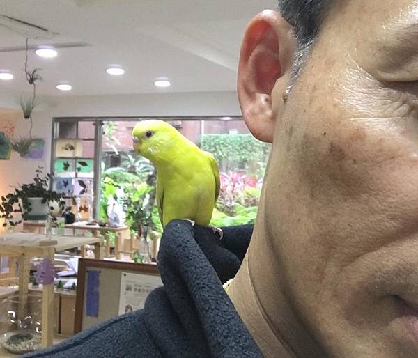 17951656_1000206460109288_8899403853163191698_n.jpg 17951656_1000206460109288_8899403853163191698_n.jpg