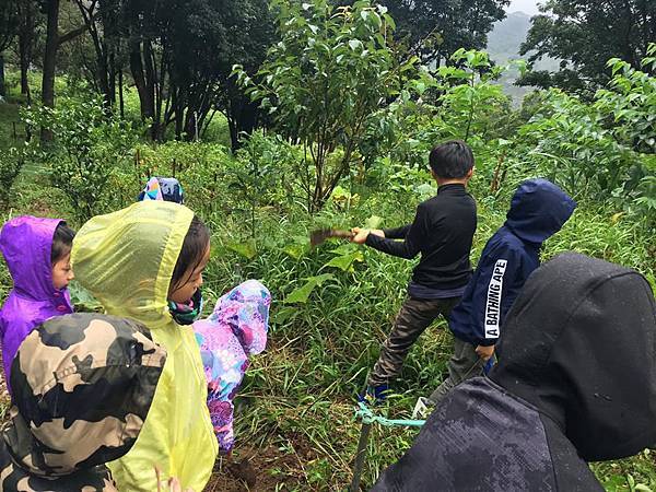 43828679_2268956980052657_1529608630595223552_n.jpg 43828679_2268956980052657_1529608630595223552_n.jpg