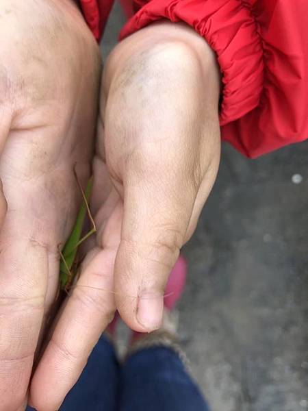 43788783_2268958396719182_8609695465945956352_n.jpg 43788783_2268958396719182_8609695465945956352_n.jpg