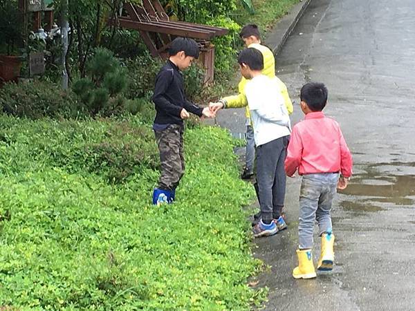 43951080_2268958090052546_2194643342392819712_n.jpg 43951080_2268958090052546_2194643342392819712_n.jpg