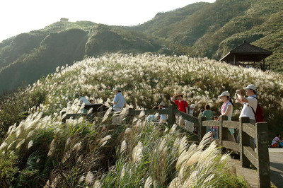 草嶺古道.jpg