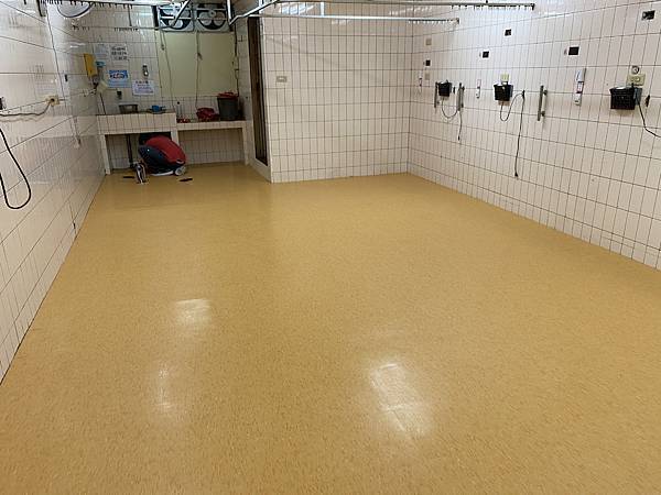 🏢 塑膠地磚系列｜耐磨．耐汙．大面積空間的安心選擇