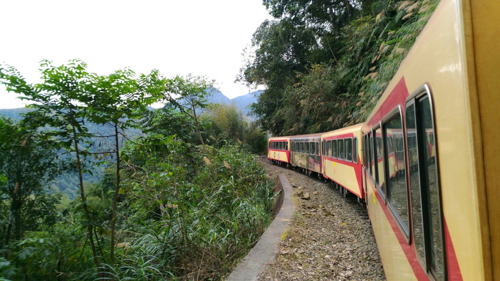 阿里山森林小火車_170206_0038.jpg