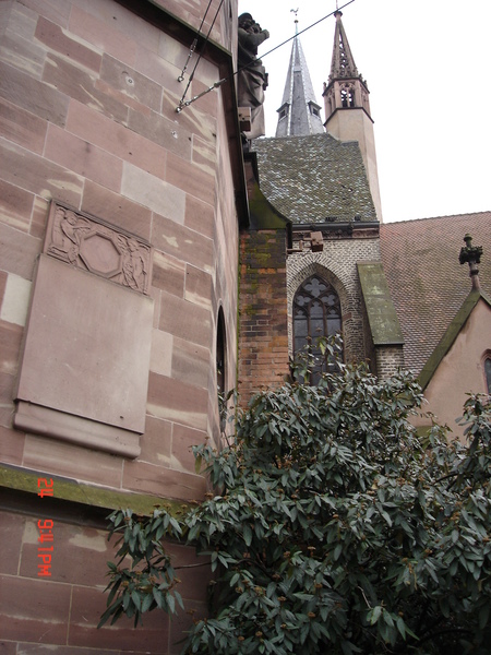 DSC02370
